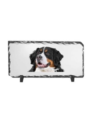 Leistenen fotolijst - 22x12 cm