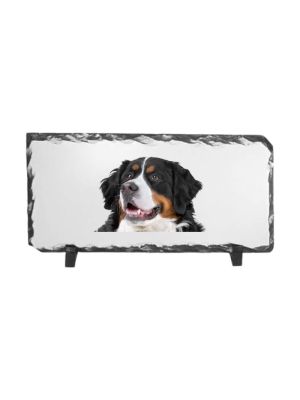 Leistenen fotolijst - 30x15 cm